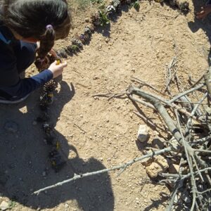 itinerari de natura