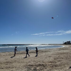 Els secrets del mar